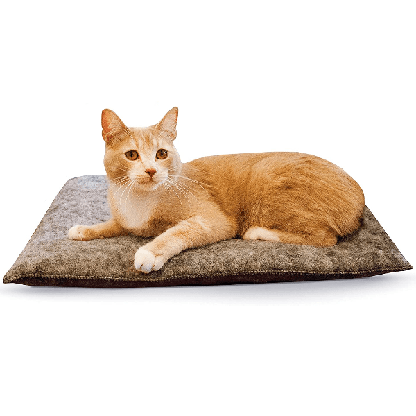 Heated cat bed clearance