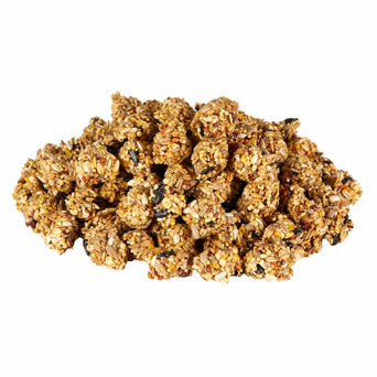 Kaytee Kaytee Granola Bites with Superfoods Cranberry, Apple and Flax