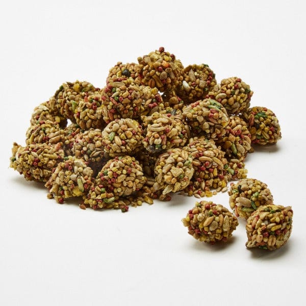 Kaytee Kaytee Healthy Bits Treat for Parrots