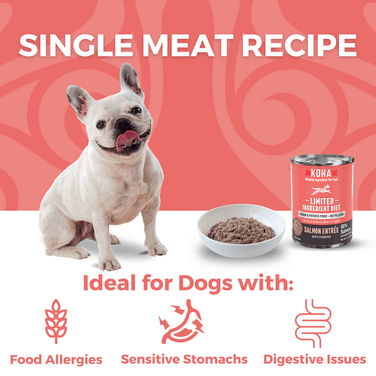 Dog food for digestive issues on sale