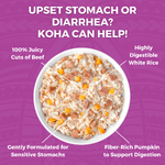 KOHA Pet KOHA Limited Ingredient Bland Diet Beef & White Rice Recipe for Dogs