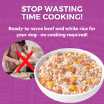 KOHA Pet KOHA Limited Ingredient Bland Diet Beef & White Rice Recipe for Dogs