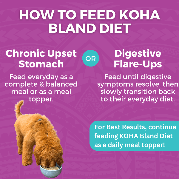 KOHA Pet KOHA Limited Ingredient Bland Diet Beef & White Rice Recipe for Dogs