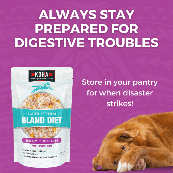 KOHA Pet KOHA Limited Ingredient Bland Diet Beef & White Rice Recipe for Dogs