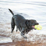 KONG KONG Airdog Squeaker Football Dog Toy