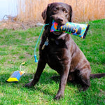 KONG KONG Bunji High-Viz Bumper Dog Toy