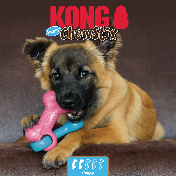 Kong bones for clearance puppies