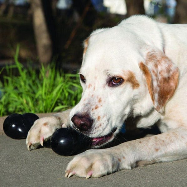 KONG KONG Extreme Goodie Bone Dog Toy