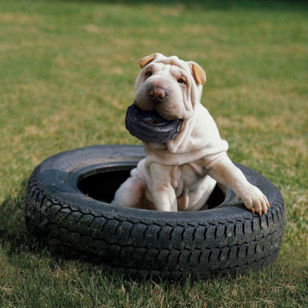KONG KONG Extreme Tires Dog Toy