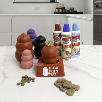 KONG KONG Fill or Freeze Tray
