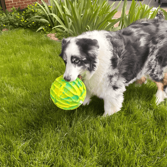 KONG KONG Flexball Sport Ball XLarge