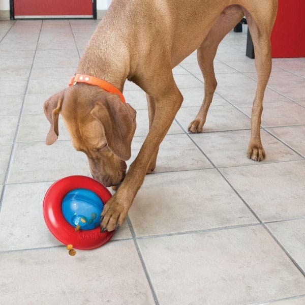 KONG KONG Gyro Treat Dispensing Dog Toy