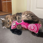 KONG KONG Kickeroo Swirl Cat Toy