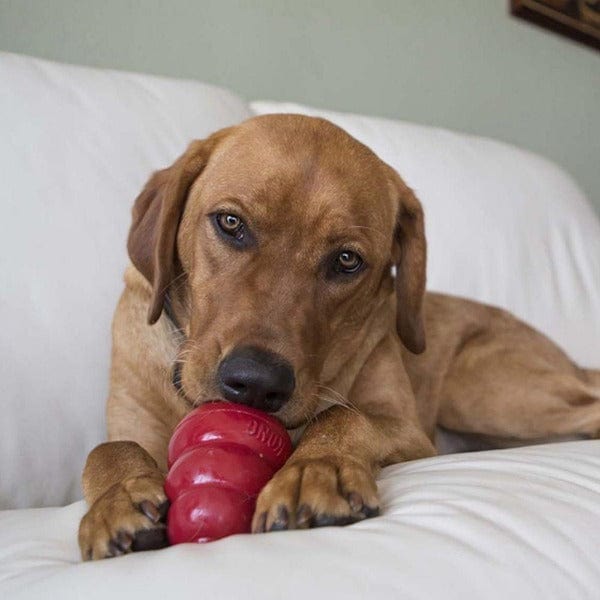 KONG KONG Liver Dog Snacks