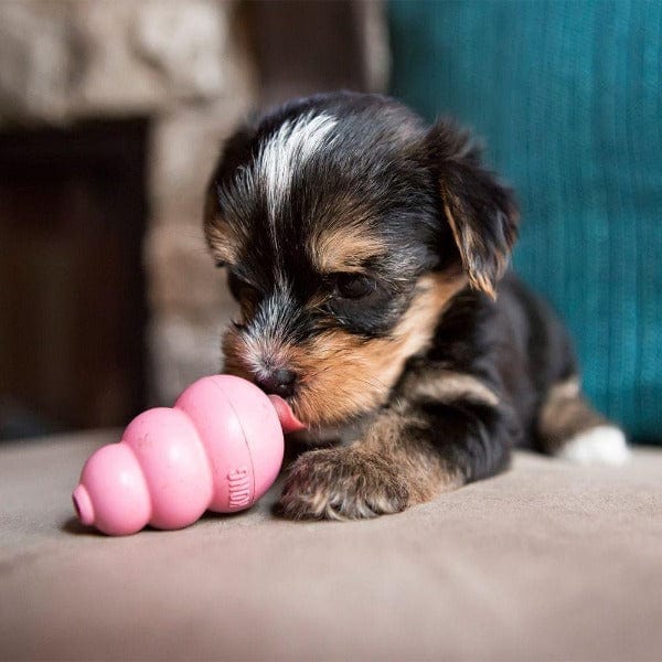 KONG KONG Puppy Toy