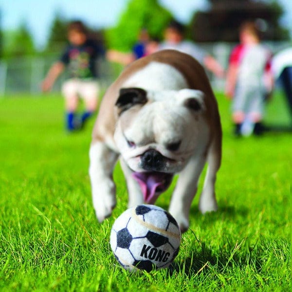 KONG KONG Sport Balls Dog Toy