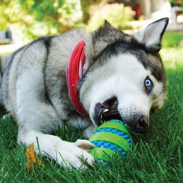 KONG KONG Squeezz Goomz Football Dog Toy