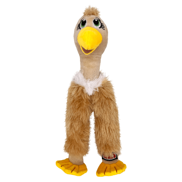 KONG Wishbone Dog Toy Petland Canada