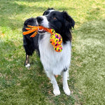 KONG KONG Wubba Ballistic High-Vis Dog Toy
