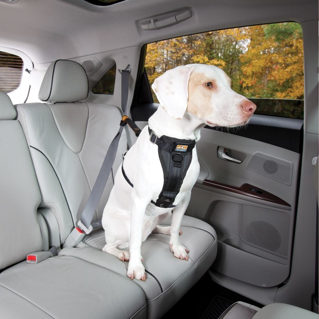 Kurgo Kurgo Enhanced Strength Tru-Fit Extra Small Dog Car Harness