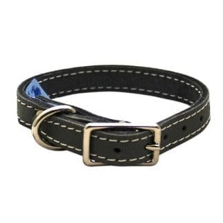 Lacets Arizona Lacets Single-Ply Leather Dog Collar
