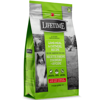 Lifetime Lifetime Lamb Meal & Oatmeal Recipe Dry Dog Food