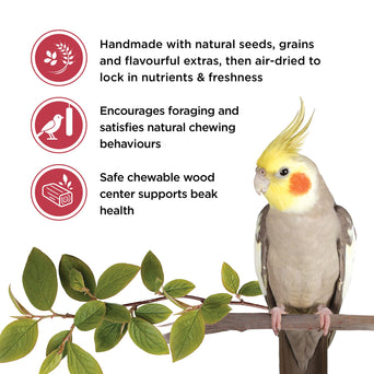 Living World Living World Cockatiel Treat Sticks - Fruit Melody