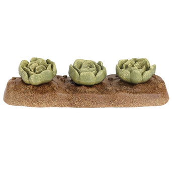 Living World Living World Edible Cabbages Chew Toy