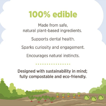 Living World Living World Edible Carrot Bed Chew Toy