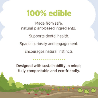 Living World Living World Edible Pea Pods Chew Toy