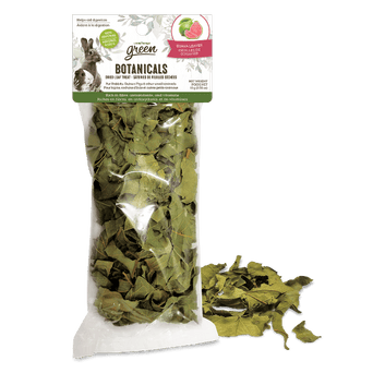 Living World Living World Green Botanicals Dried Guava Leaves Treat