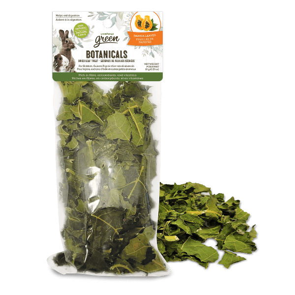 Living World Green Botanicals Dried Papaya Leaves Treat Petland