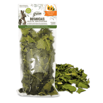 Living World Living World Green Botanicals Dried Papaya Leaves Treat