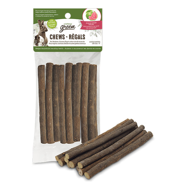 Living World Living World Green Chews - Guava Wood Sticks