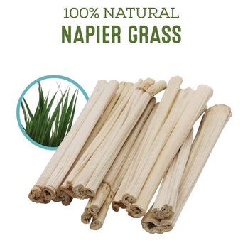 Living World Living World Green Chews - Napier Grass Sticks