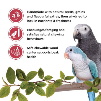 Living World Living World Parrot Treat Sticks - Fruit Melody