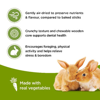 Living World Living World Rabbit Treat Sticks - Vegetable Flavour