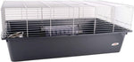 Living World Living World Rat Starter Kit