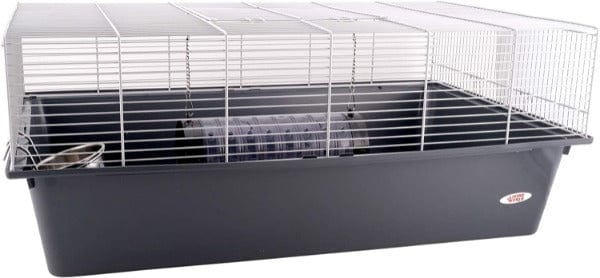 Living World Living World Rat Starter Kit