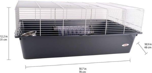 Living World Living World Rat Starter Kit