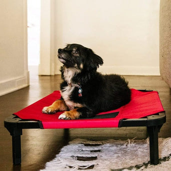 Lucky Dog Lucky Dog Red Elevated Pet Bed
