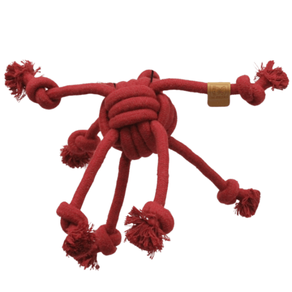 M-PETS M-PETS COTO Rope Spider