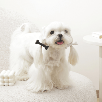 M-PETS M-PETS GLAM Hair Accessories for Pets | Bone Shape Clip