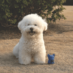 M-PETS M-PETS Power Chew Toy For Dogs - Lapis Lazuli Blue