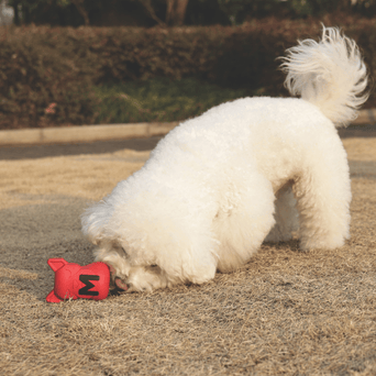 M-PETS M-PETS Power Chew Toy For Dogs - Ruby Red