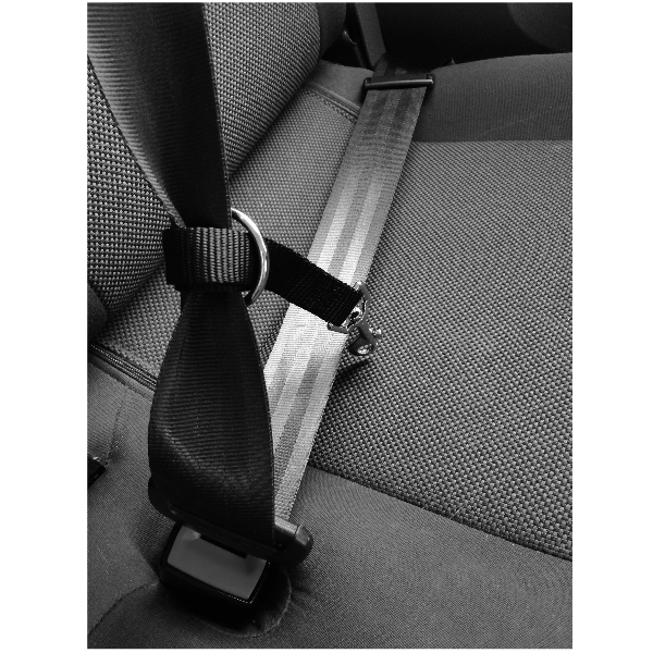 M-PETS M-PETS Secura Safety Car Harness