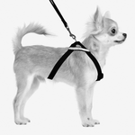 M-PETS M-PETS Secura Safety Car Harness