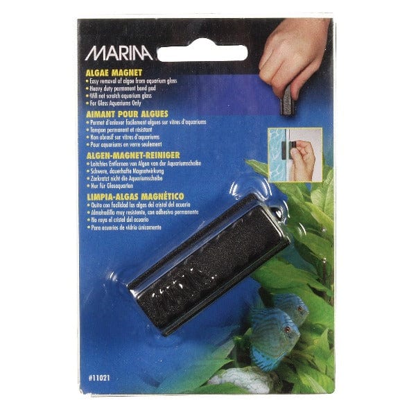 Marina Marina Aquarium Algae Glass Magnet