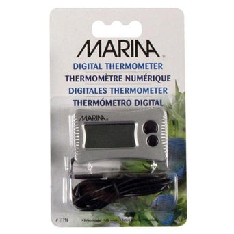 Marina Marina Digital Thermometer