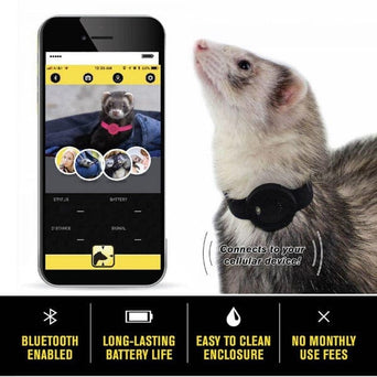 Marshall Pet Products Marshall Ferret Finder Black Bluetooth Collar